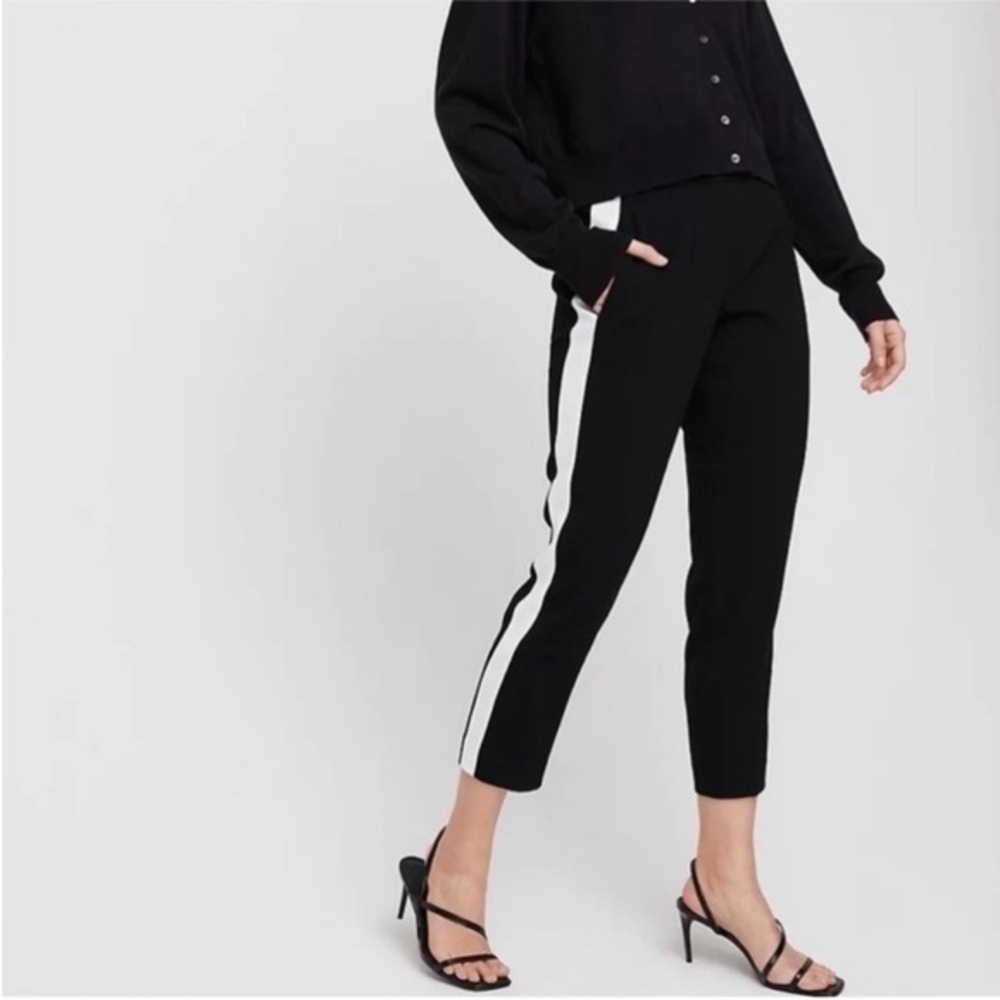 Aritzia Babaton Conan Pants size 6